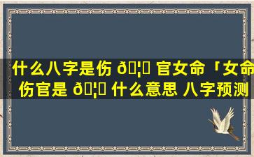 什么八字是伤 🦆 官女命「女命伤官是 🦉 什么意思 八字预测学须知」